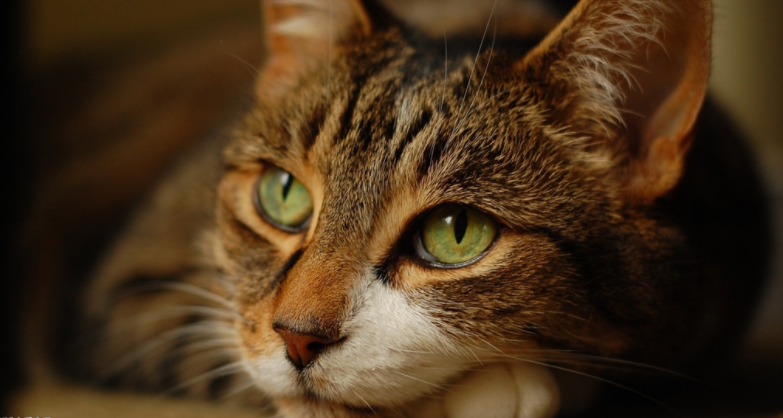 1568859009(1).png 1568859009(1).png