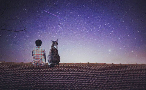 1576823732(1).png 1576823732(1).png